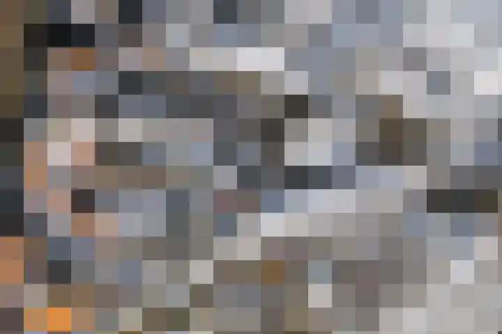 Beukenallee 69 Zwolle thumbnail 39