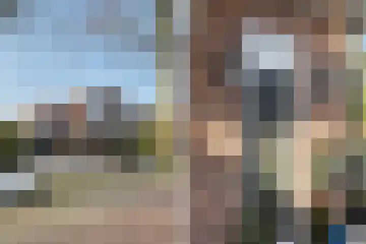 Beukenallee 69 Zwolle thumbnail 4