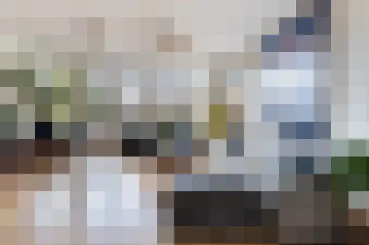 Beukenallee 69 Zwolle thumbnail 5