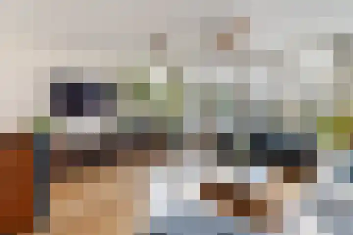 Beukenallee 69 Zwolle thumbnail 6