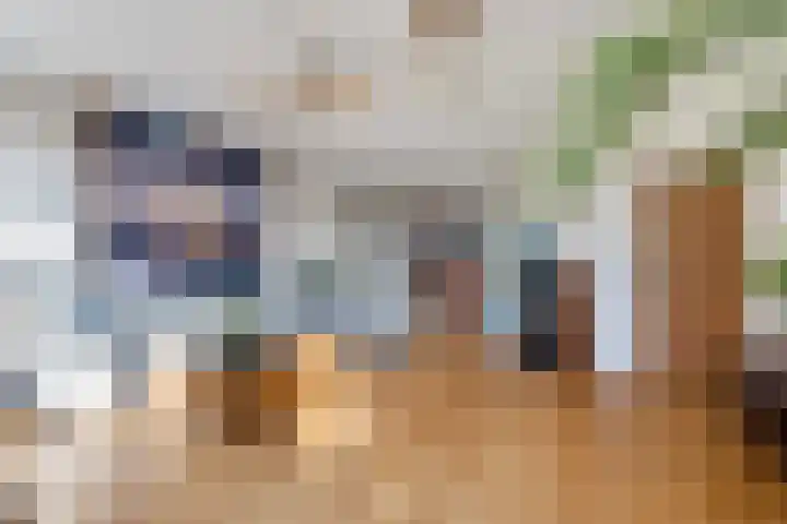 Beukenallee 69 Zwolle thumbnail 9
