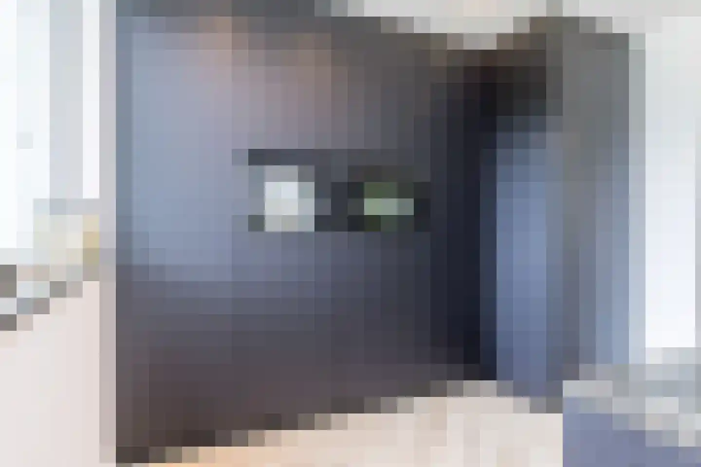 Beukenberg 12 Oirsbeek thumbnail 15