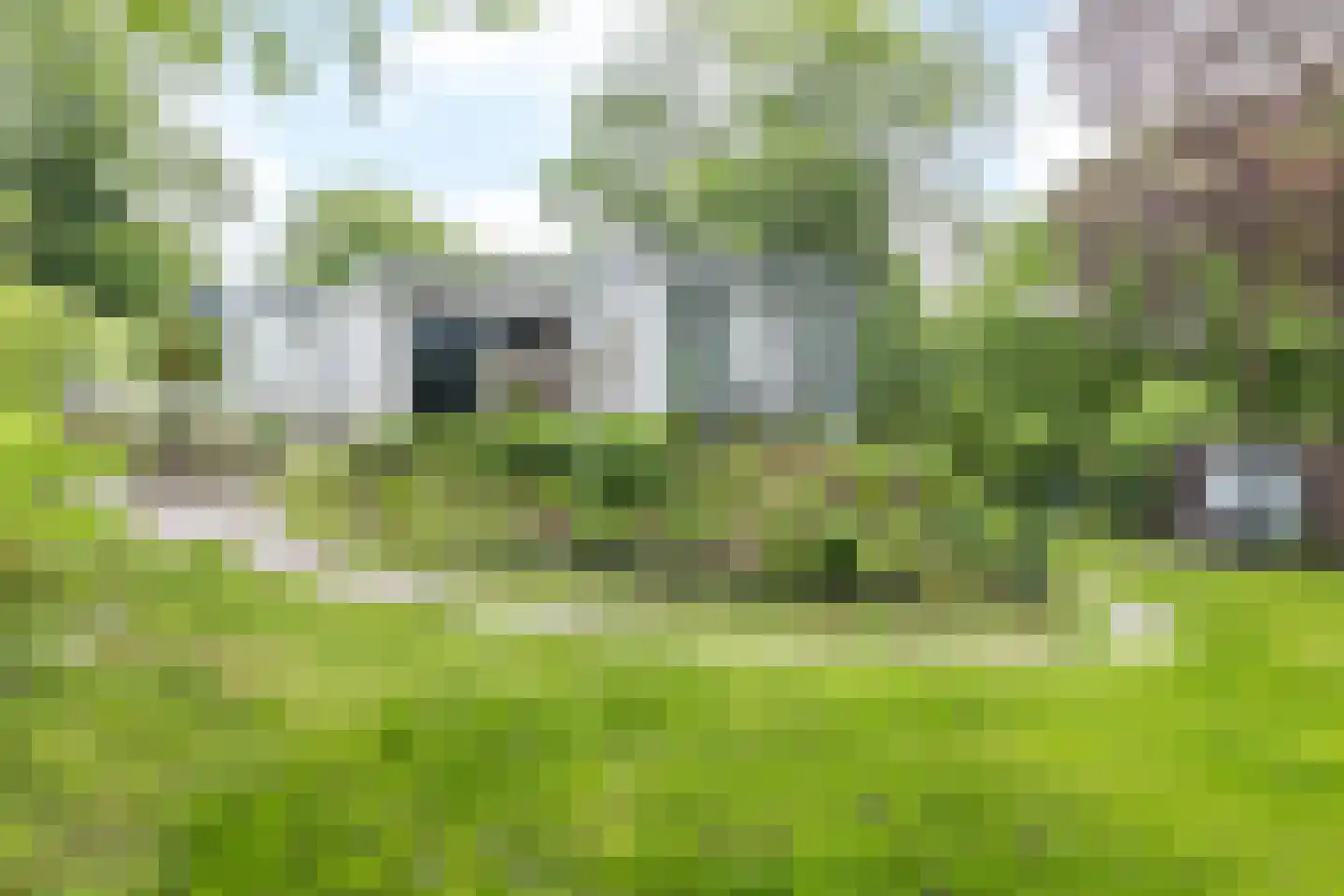 Beukenberg 12 Oirsbeek thumbnail 33