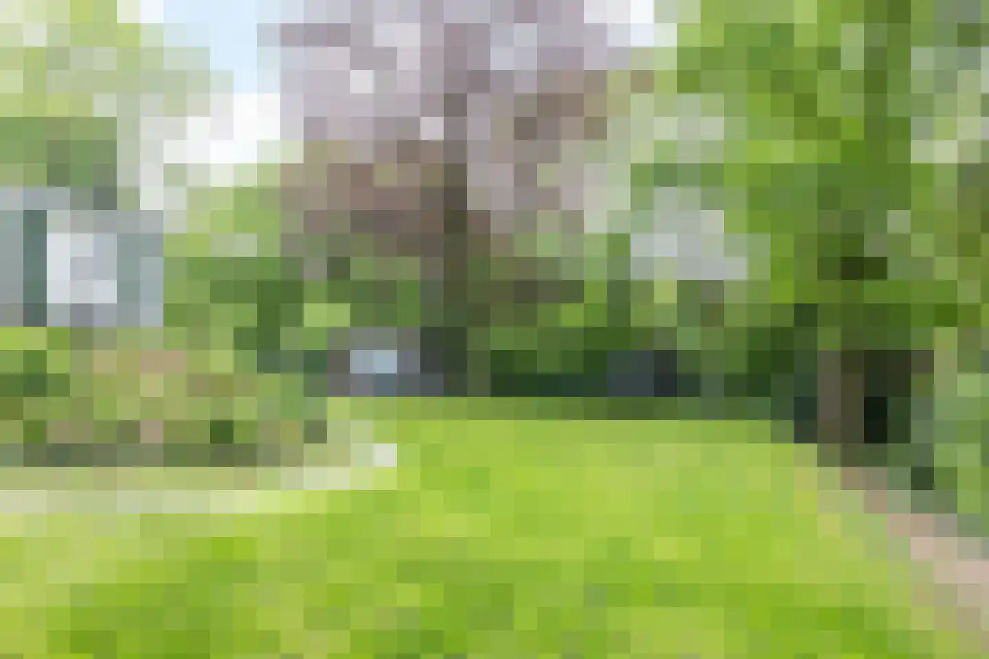 Beukenberg 12 Oirsbeek thumbnail 36