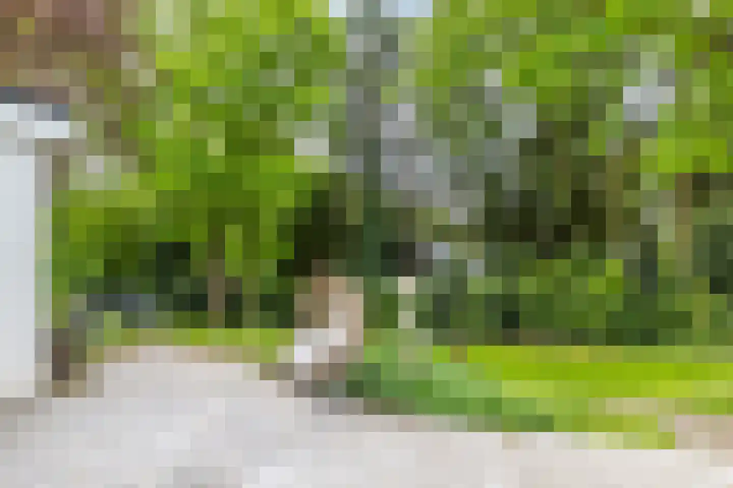 Beukenberg 12 Oirsbeek thumbnail 42
