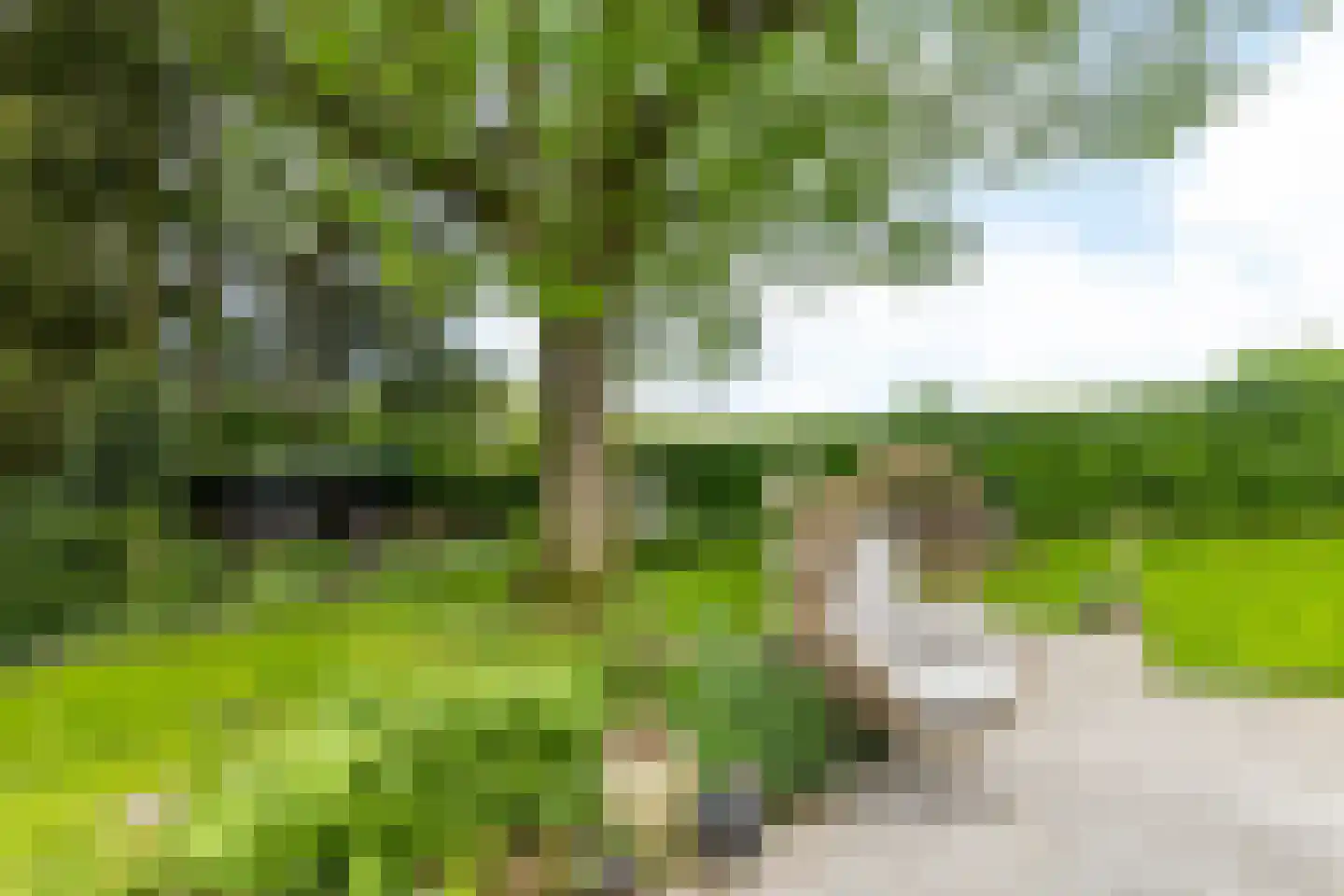 Beukenberg 12 Oirsbeek thumbnail 43