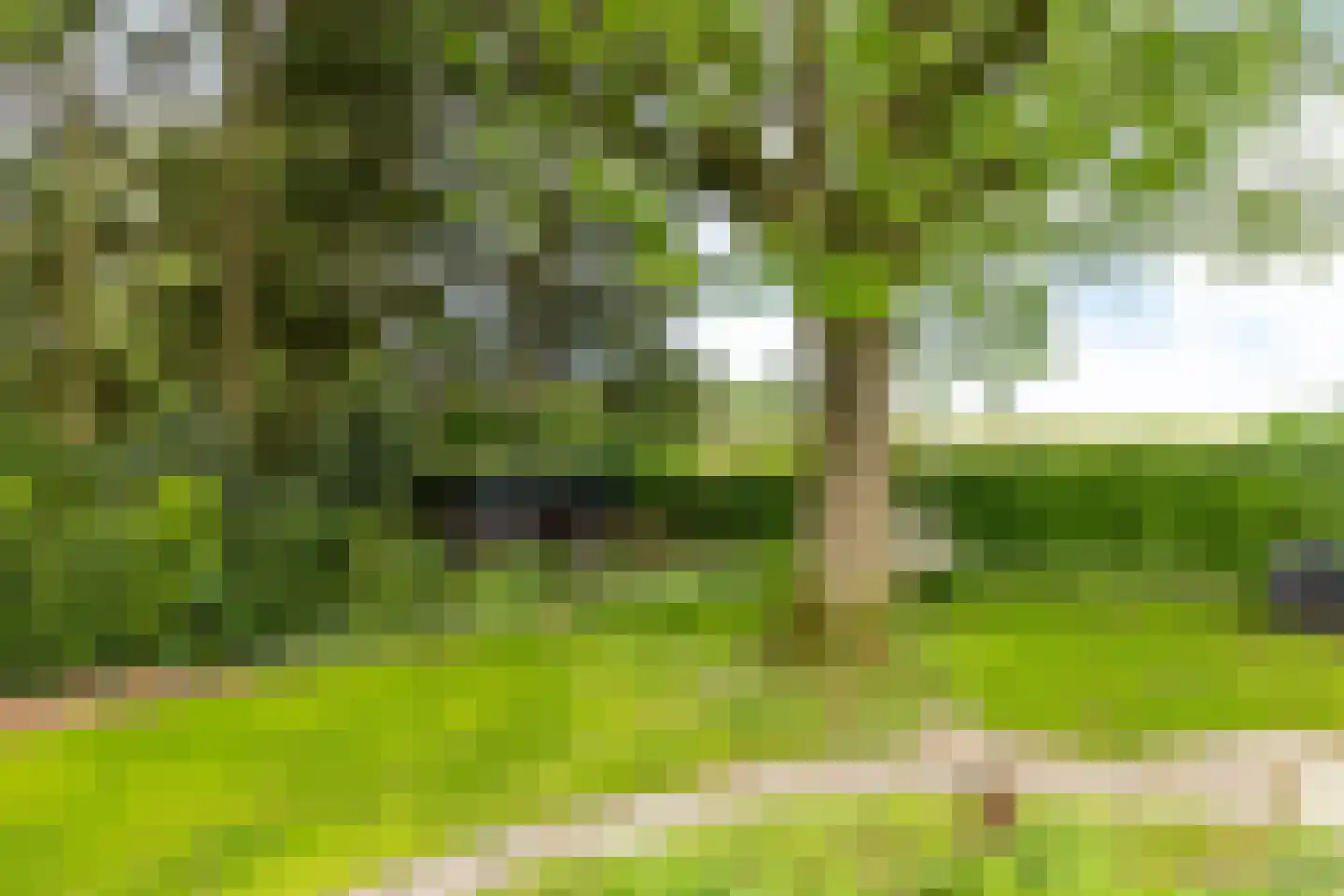 Beukenberg 12 Oirsbeek thumbnail 44