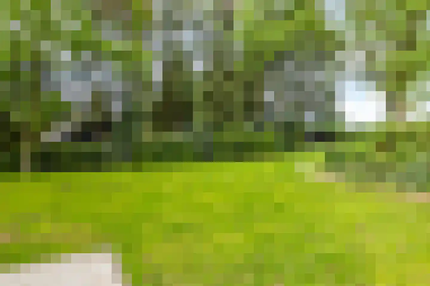 Beukenberg 12 Oirsbeek thumbnail 46