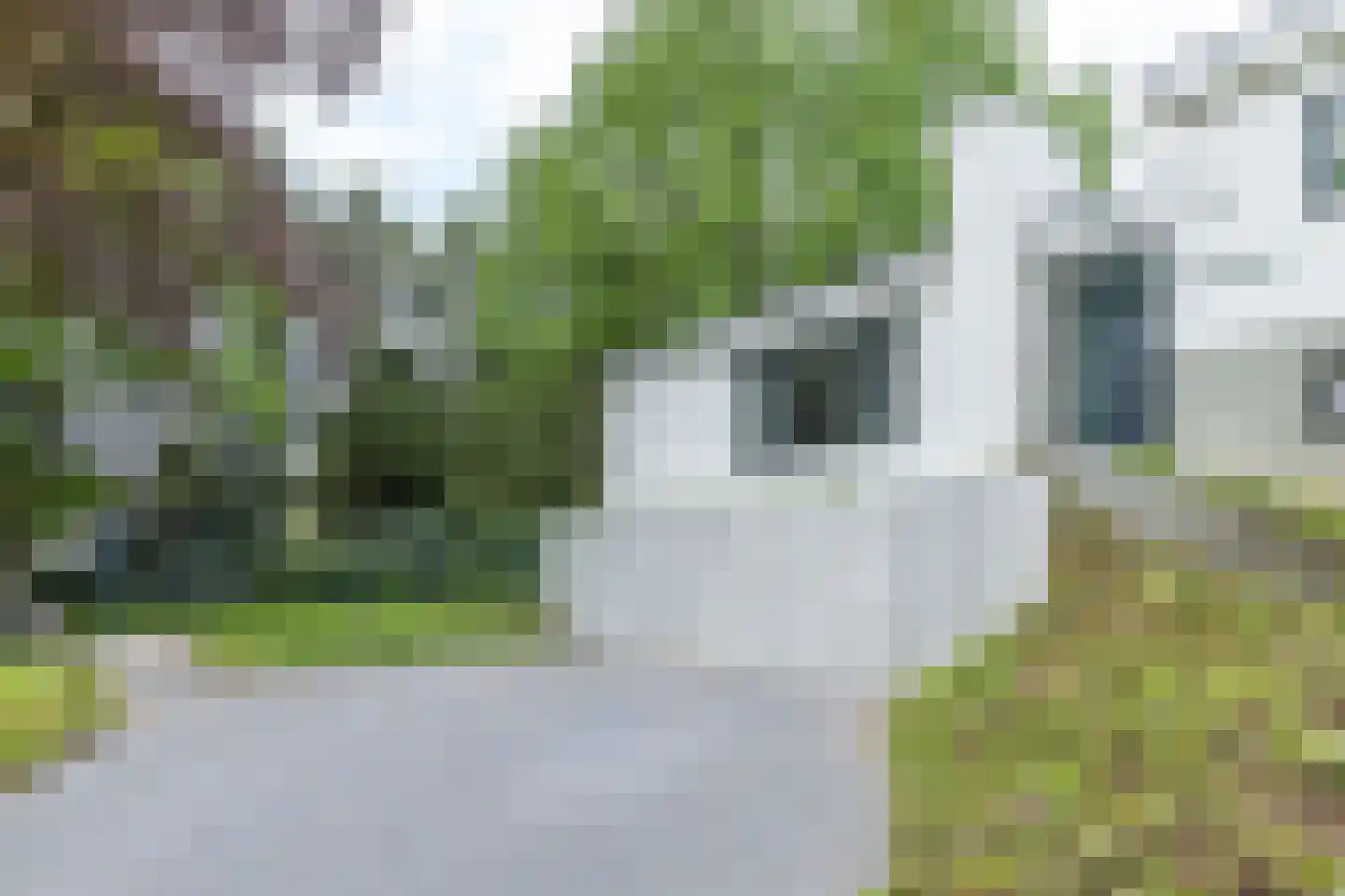 Beukenberg 12 Oirsbeek thumbnail 47
