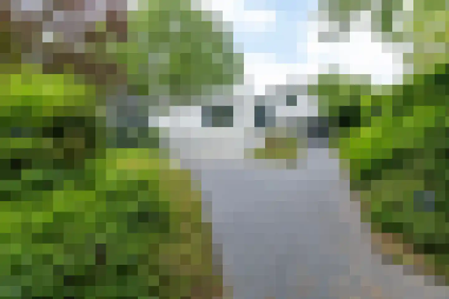 Beukenberg 12 Oirsbeek thumbnail 48