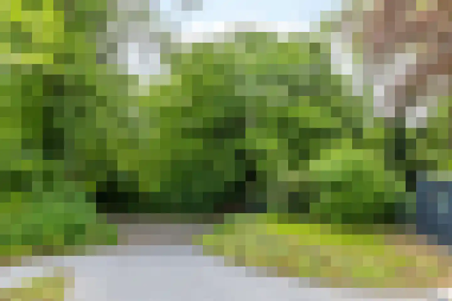 Beukenberg 12 Oirsbeek thumbnail 49