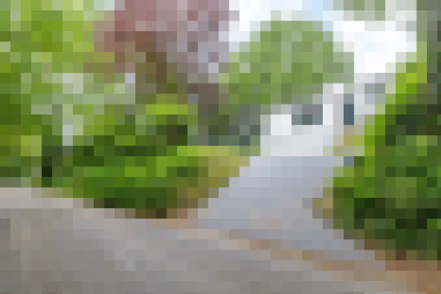 Beukenberg 12 Oirsbeek thumbnail 50