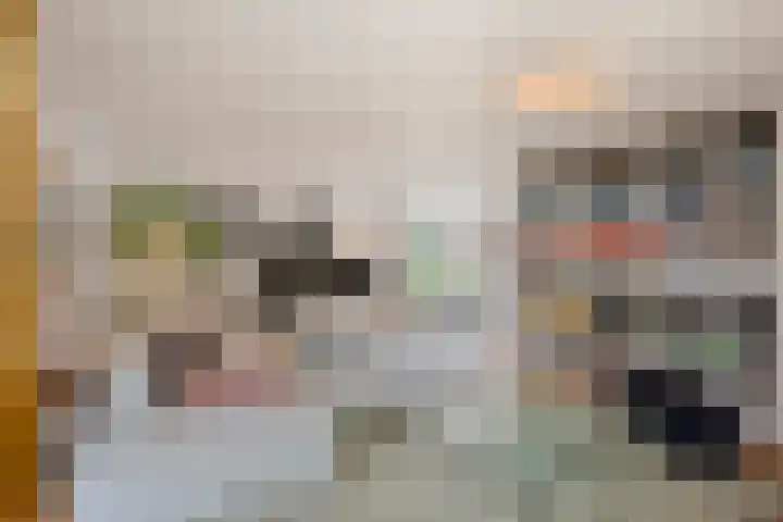 Beukenberg 55 Oirsbeek thumbnail 13