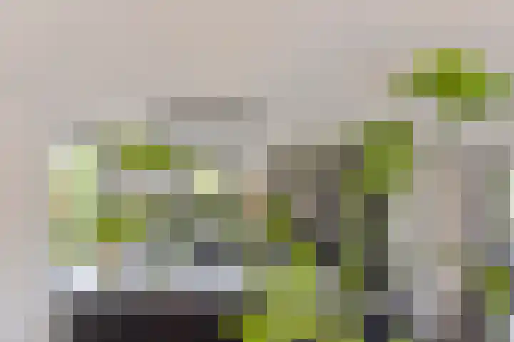 Beukenberg 55 Oirsbeek thumbnail 22