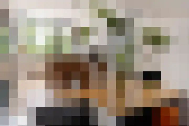 Beukenberg 55 Oirsbeek thumbnail 23