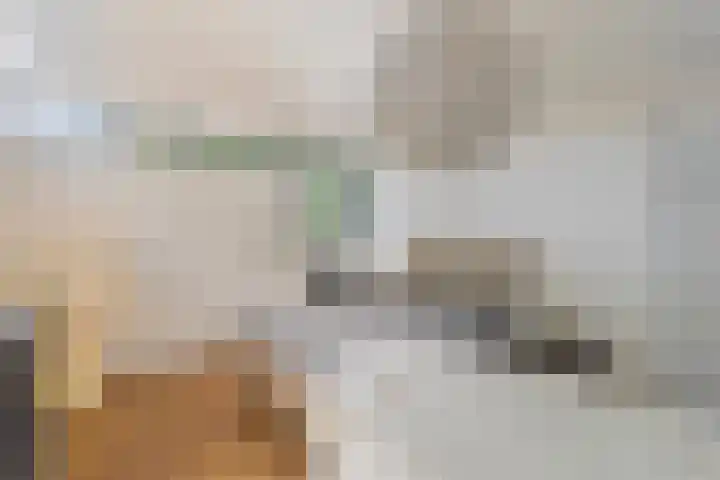 Beukenberg 55 Oirsbeek thumbnail 35