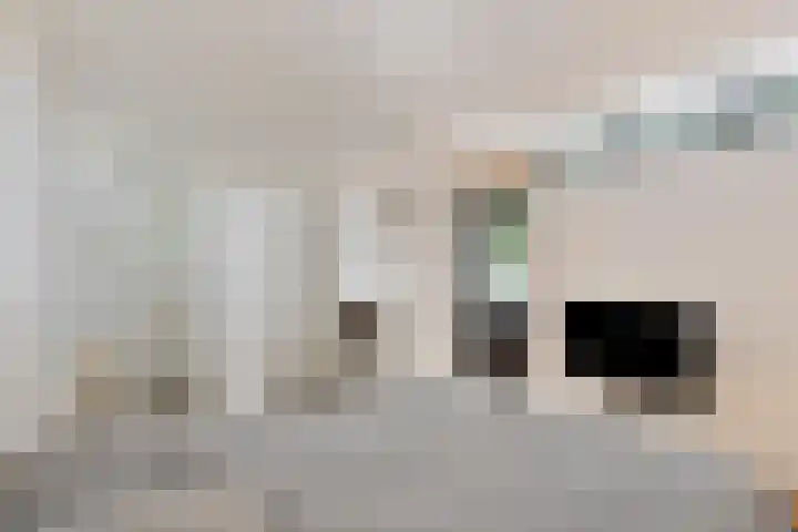 Beukenberg 55 Oirsbeek thumbnail 37