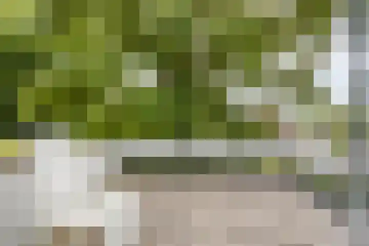 Beukenberg 55 Oirsbeek thumbnail 40