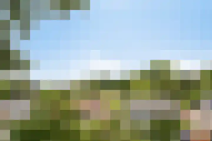 Beukenberg 55 Oirsbeek thumbnail 42
