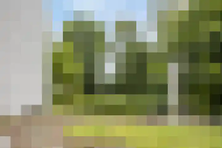 Beukenberg 55 Oirsbeek thumbnail 43