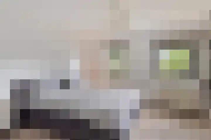 Beukenberg 55 Oirsbeek thumbnail 52