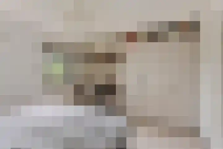 Beukenberg 55 Oirsbeek thumbnail 53