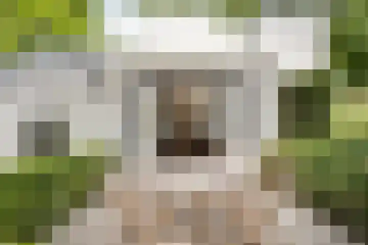 Beukenberg 55 Oirsbeek thumbnail 55