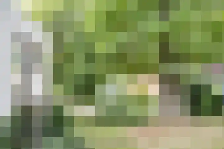 Beukenberg 55 Oirsbeek thumbnail 57