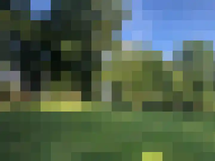 Beukenberg 55 Oirsbeek thumbnail 58