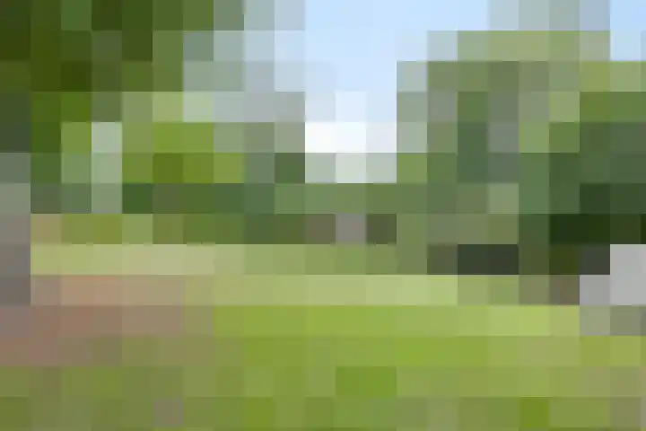 Beukenberg 55 Oirsbeek thumbnail 59