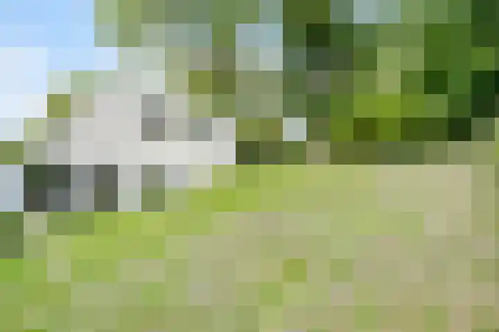 Beukenberg 55 Oirsbeek thumbnail 61