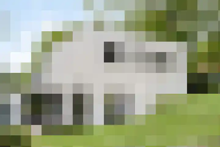 Beukenberg 55 Oirsbeek thumbnail 62