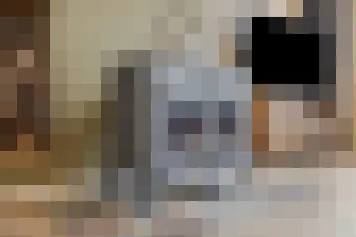 Beukenboomsweg 26 Guttecoven thumbnail 10