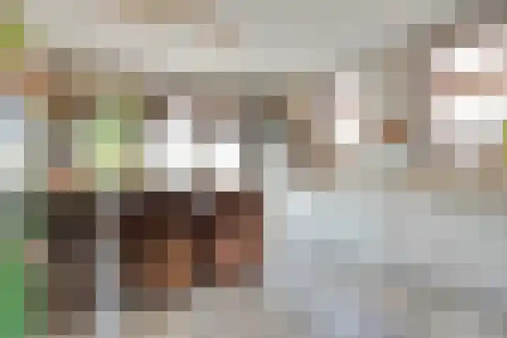 Beukenboomsweg 26 Guttecoven thumbnail 12