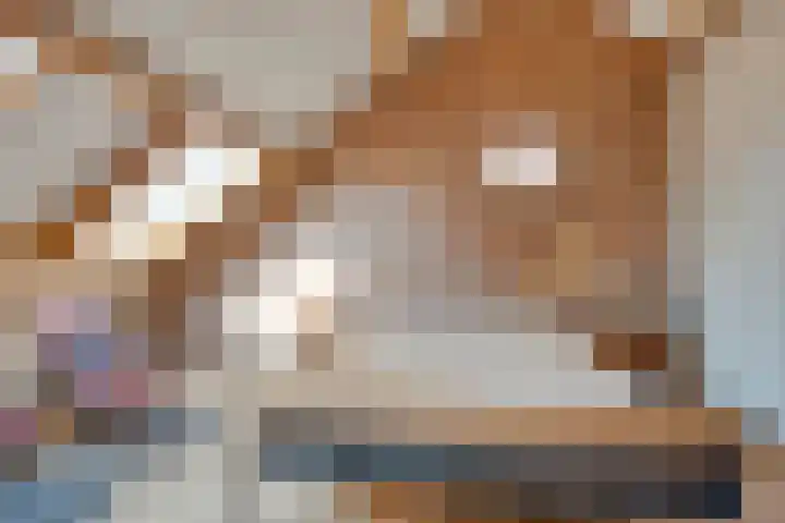 Beukenboomsweg 26 Guttecoven thumbnail 16