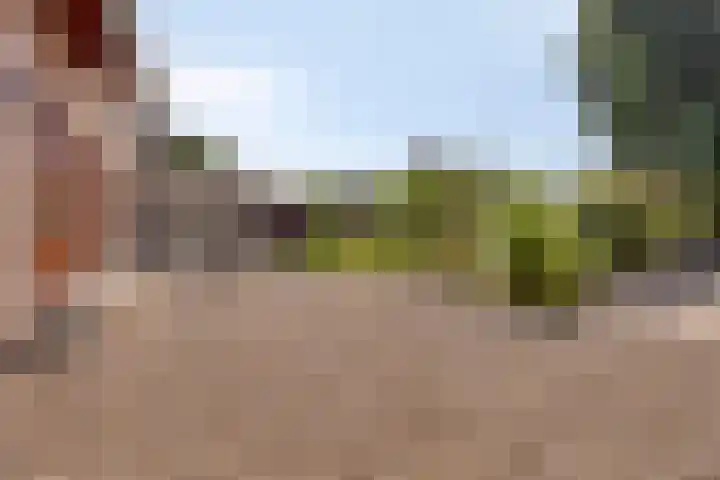 Beukenboomsweg 26 Guttecoven thumbnail 28