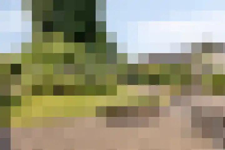 Beukenboomsweg 26 Guttecoven thumbnail 29