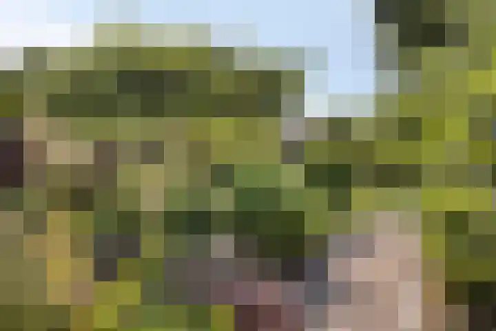 Beukenboomsweg 26 Guttecoven thumbnail 30
