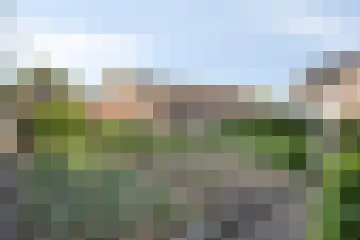 Beukenboomsweg 26 Guttecoven thumbnail 32