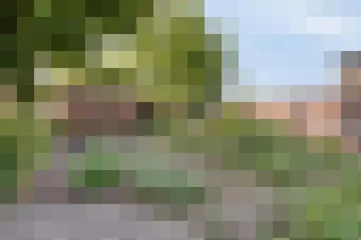 Beukenboomsweg 26 Guttecoven thumbnail 33