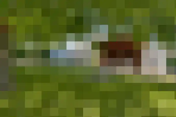Beukenboomsweg 26 Guttecoven thumbnail 4
