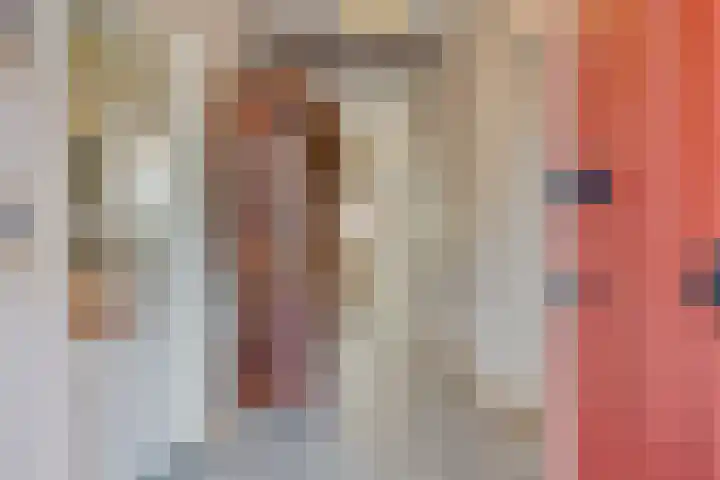 Beukenboomsweg 26 Guttecoven thumbnail 5