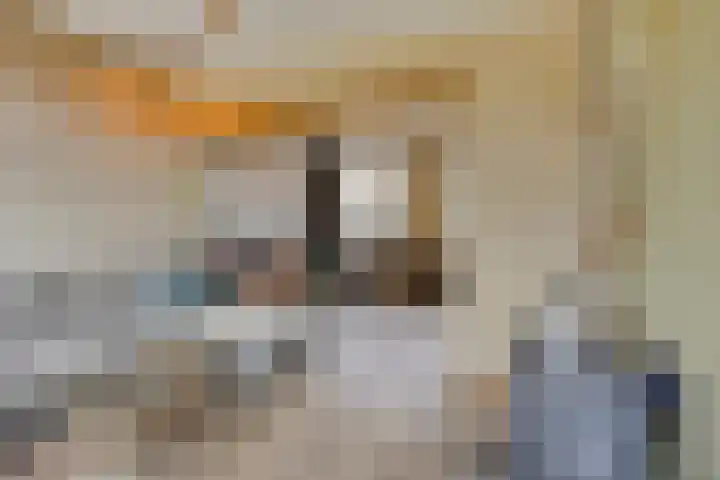 Beukenboomsweg 26 Guttecoven thumbnail 8