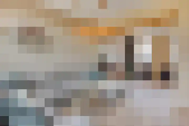 Beukenboomsweg 26 Guttecoven thumbnail 9