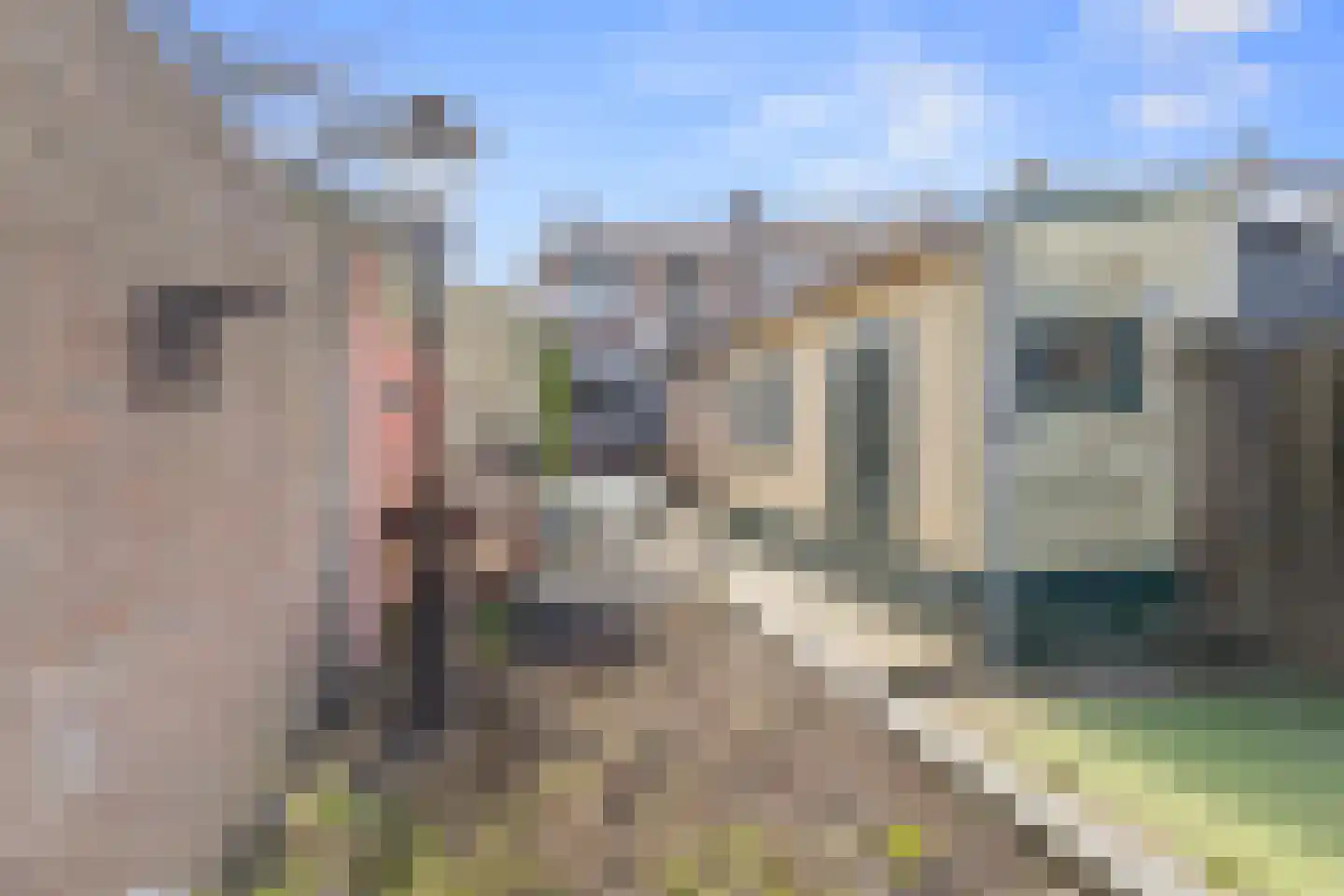 Beukenboomsweg 31 Guttecoven thumbnail 23