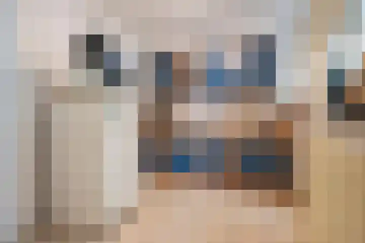 Beukenboomsweg 4 A Guttecoven thumbnail 13