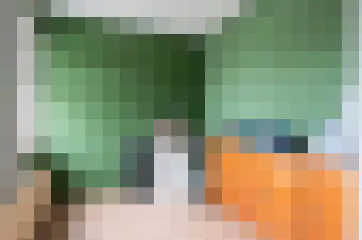 Beukenboomsweg 4 A Guttecoven thumbnail 25
