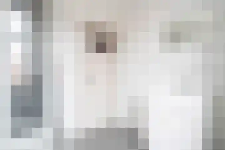 Beukenboomsweg 4 A Guttecoven thumbnail 4