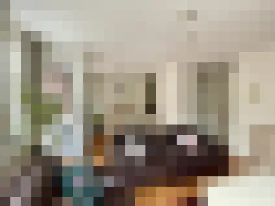 Beukenbos 28 Bladel thumbnail 4