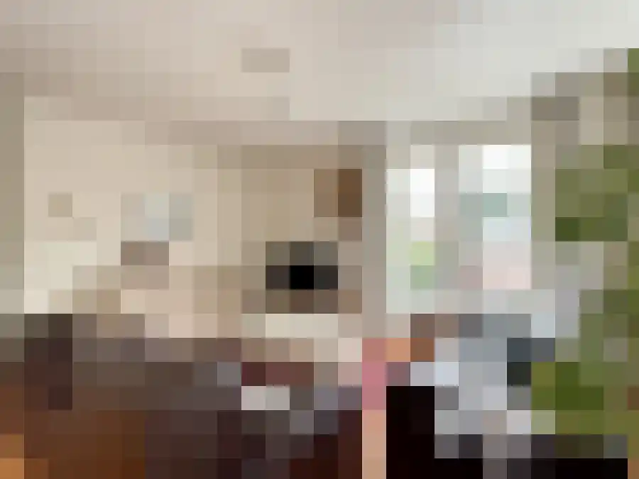 Beukenbos 28 Bladel thumbnail 5